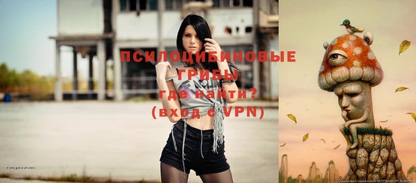 прущая мука Бородино