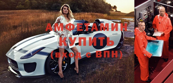 индика Бронницы