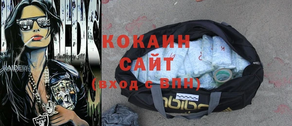 индика Бронницы