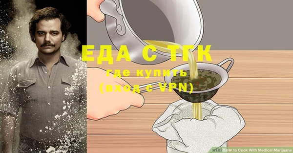 индика Бронницы