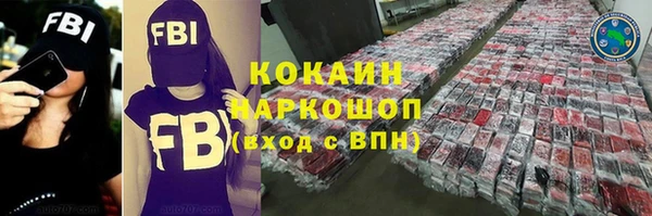 индика Бронницы