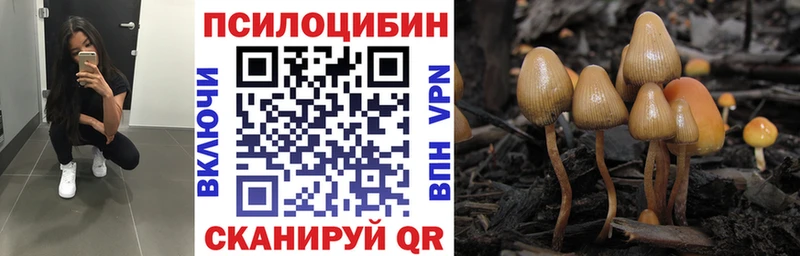 Псилоцибиновые грибы мицелий  Демидов 